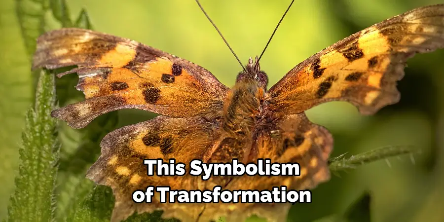 This Symbolism of Transformation 