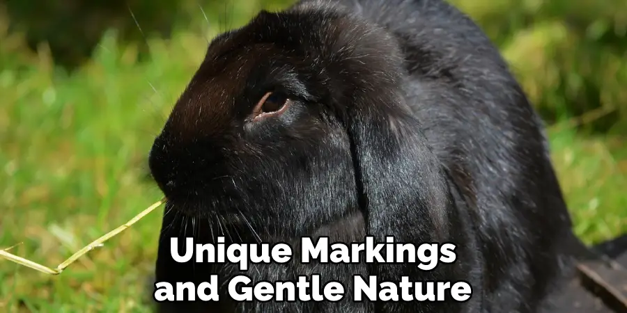 Unique Markings and Gentle Nature