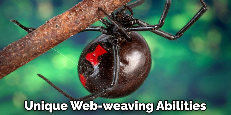 Unique Web-weaving Abilities