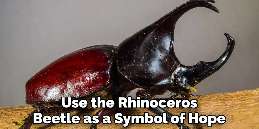 Use the Rhinoceros Beetle as a Symbol of Hope