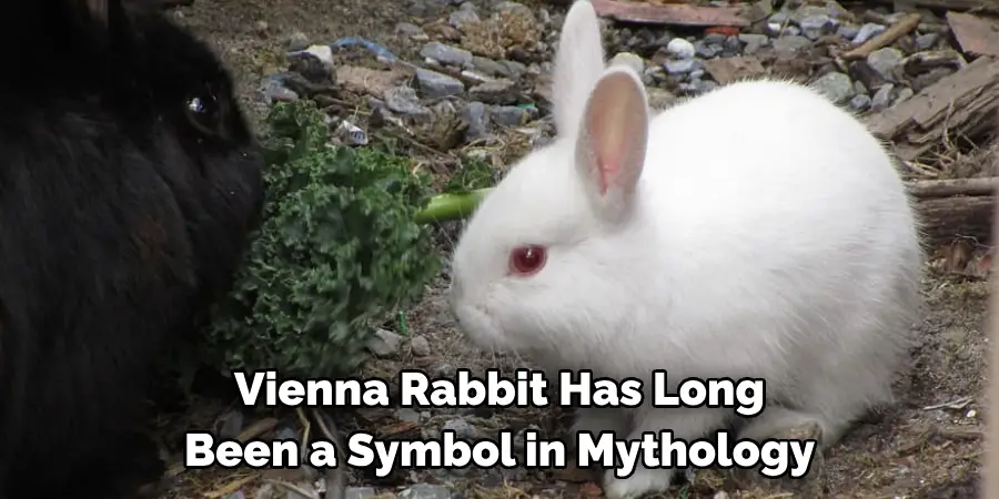 Vienna Rabbit Has Long 
Been a Symbol in Mythology