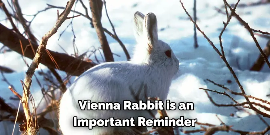  Vienna Rabbit is an 
Important Reminder 