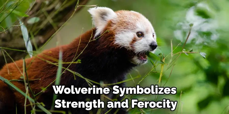 Wolverine Symbolizes Strength and Ferocity