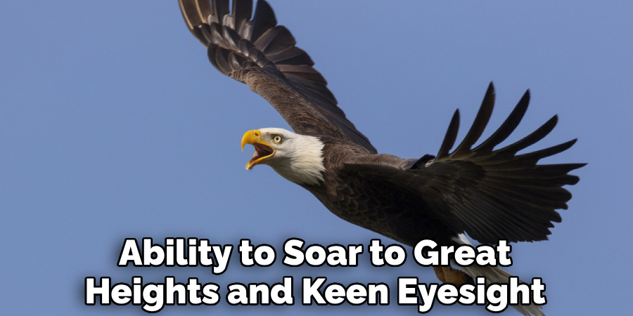 Ability to Soar to Great Heights and Keen Eyesight