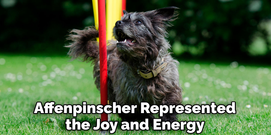 Affenpinscher Represented the Joy and Energy