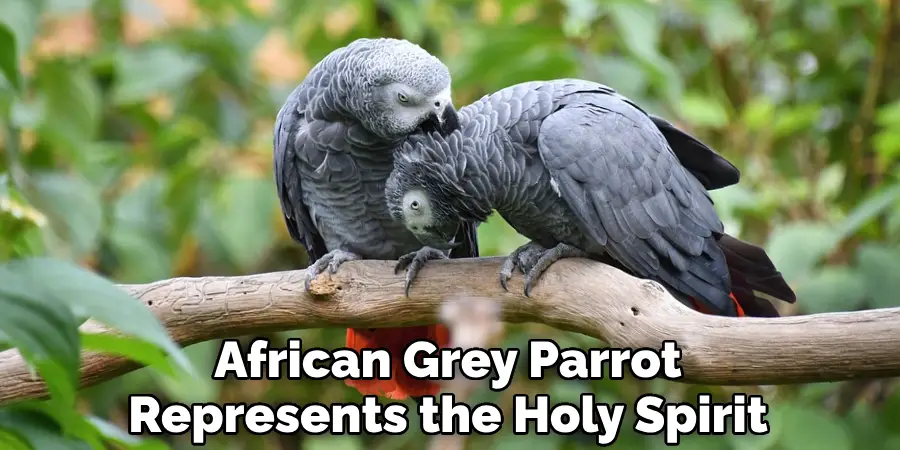 African Grey Parrot Represents the Holy Spirit