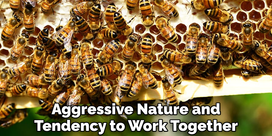 Aggressive Nature and Tendency to Work Together