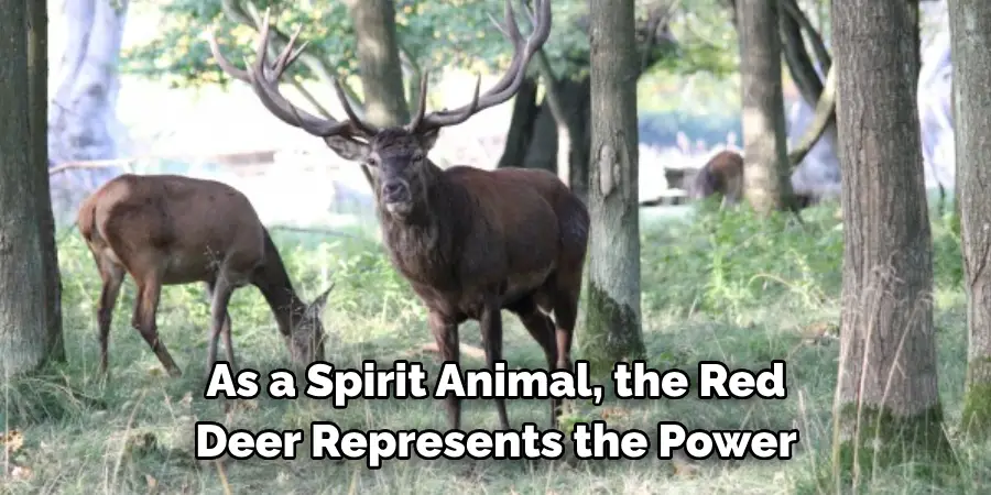 As a Spirit Animal, the Red 
Deer Represents the Power