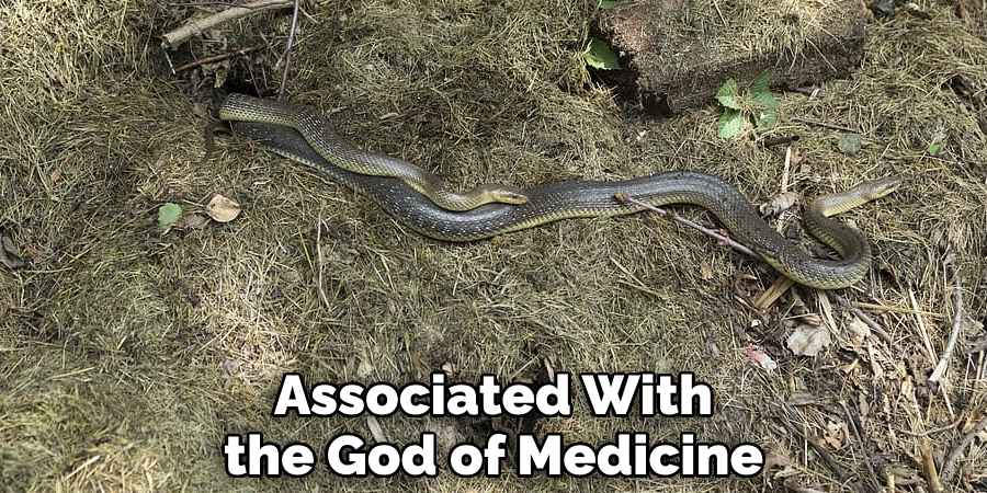 Associated With the God of Medicine