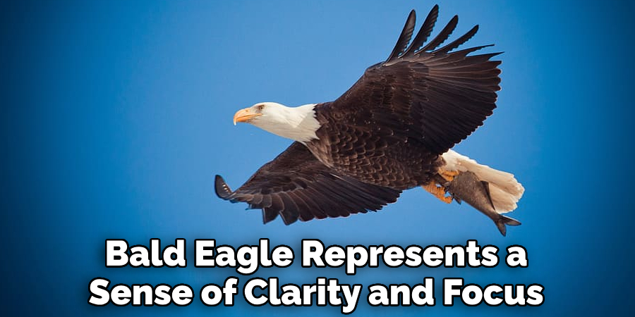 Bald Eagle Represents a Sense of Clarity and Focus