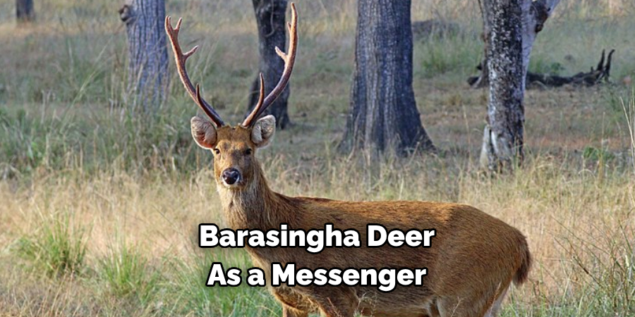 Barasingha Deer 
As a Messenger