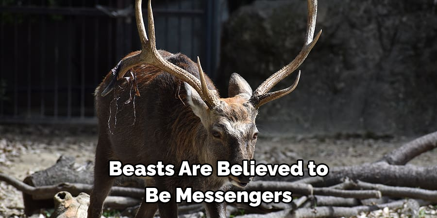 Beasts Are Believed to 
Be Messengers