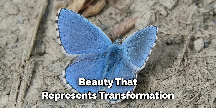 Beauty That 
Represents Transformation