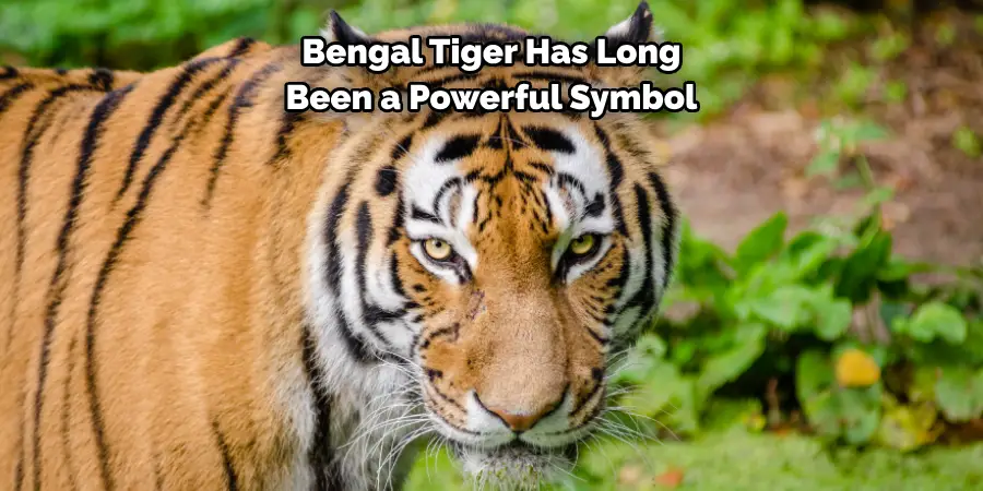 Bengal Tiger Has Long 
Been a Powerful Symbol
