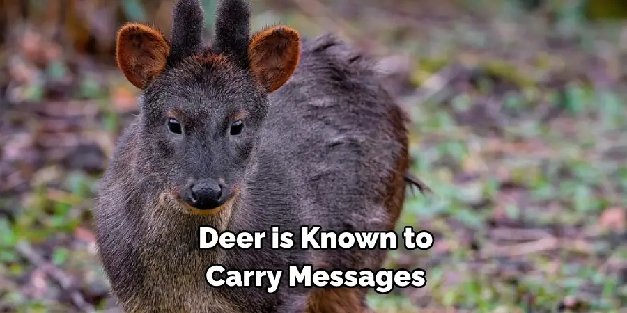 Deer is Known to 
Carry Messages