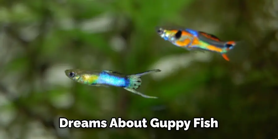 Dreams About Guppy Fish