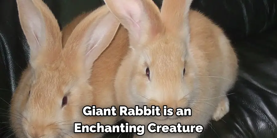Giant Rabbit is an Enchanting Creature