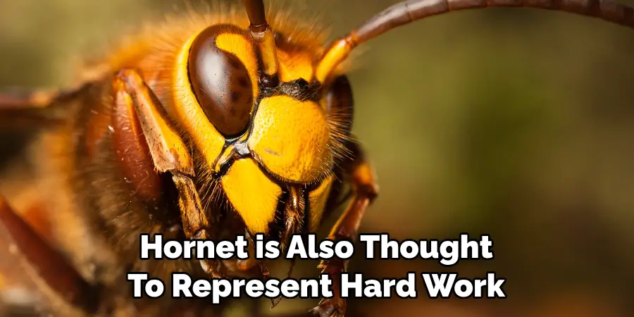 Hornet is Also Thought 
To Represent Hard Work