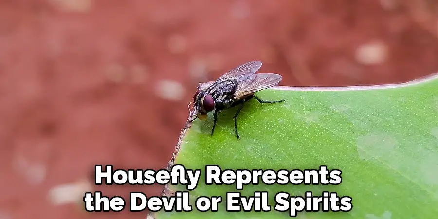 Housefly Represents the Devil or Evil Spirits