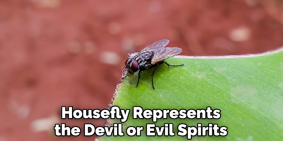 Housefly Represents the Devil or Evil Spirits