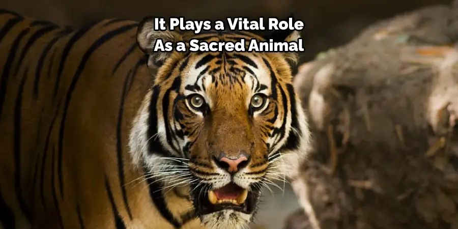 It Plays a Vital Role 
As a Sacred Animal