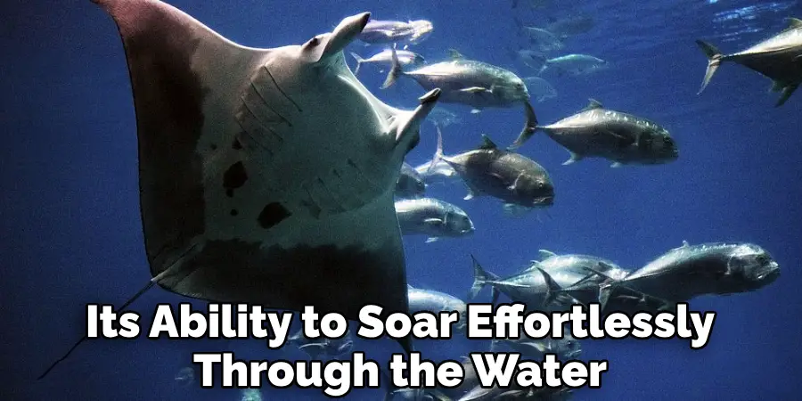 Its Ability to Soar Effortlessly Through the Water