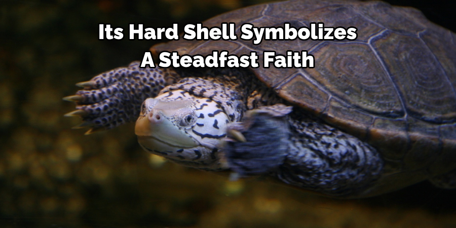 Its Hard Shell Symbolizes 
A Steadfast Faith