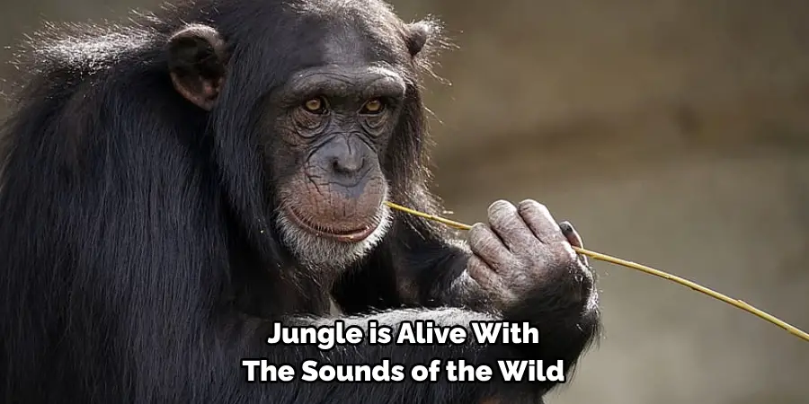 Jungle is Alive With The Sounds of the Wild