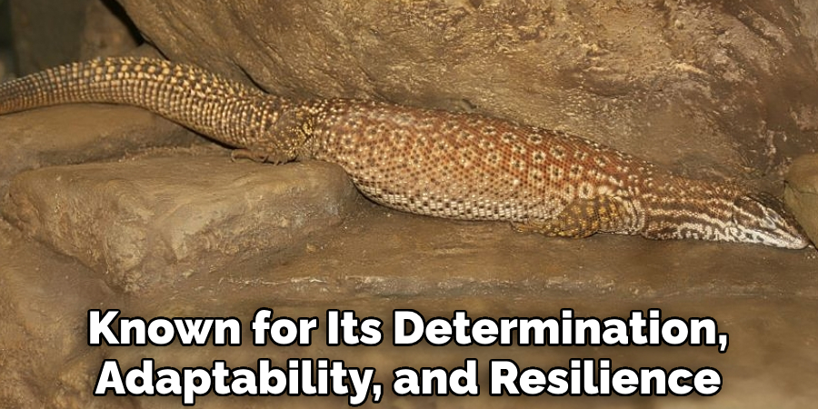 Known for Its Determination, Adaptability, and Resilience