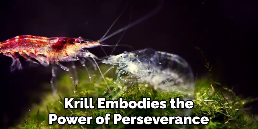 Krill Embodies the Power of Perseverance