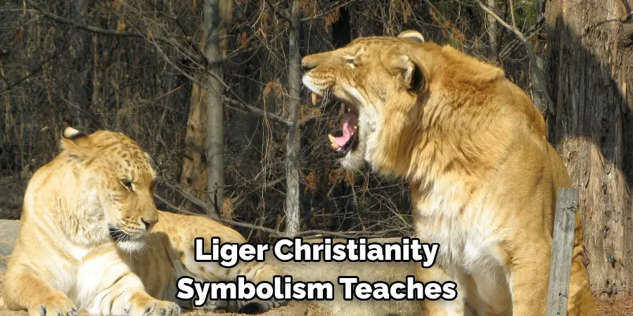 Liger Christianity 
Symbolism Teaches