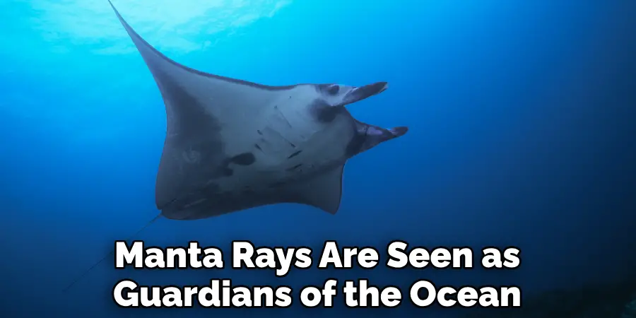 Manta Rays Are Seen as Guardians of the Ocean