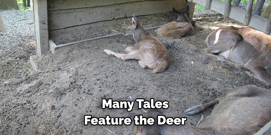 Many Tales Feature the Deer
