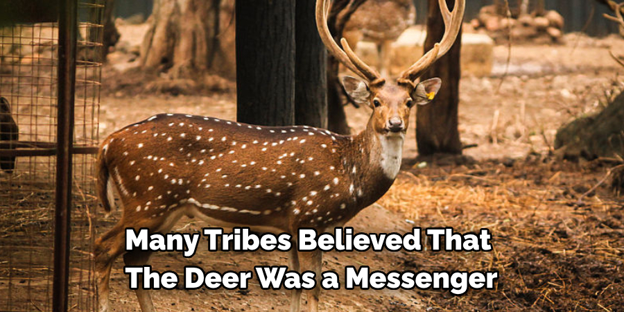Many Tribes Believed That 
The Deer Was a Messenger 
