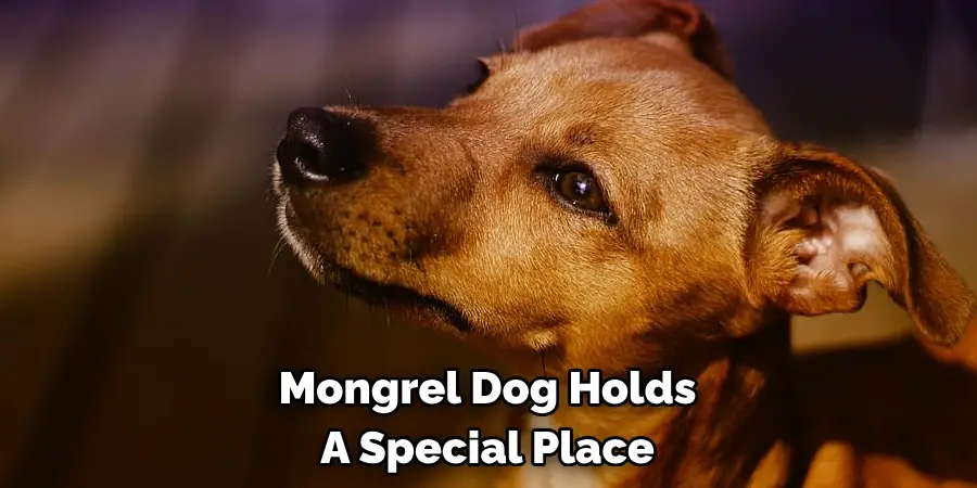 Mongrel Dog Holds 
A Special Place