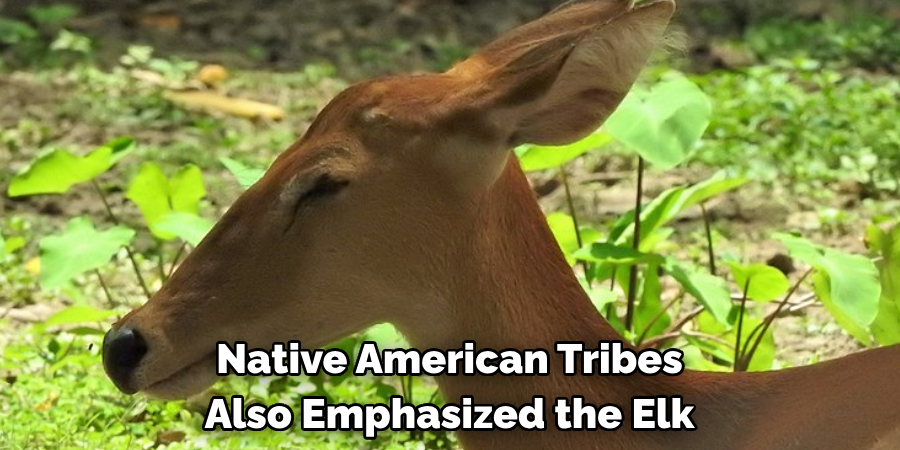 Native American Tribes Also Emphasized the Elk