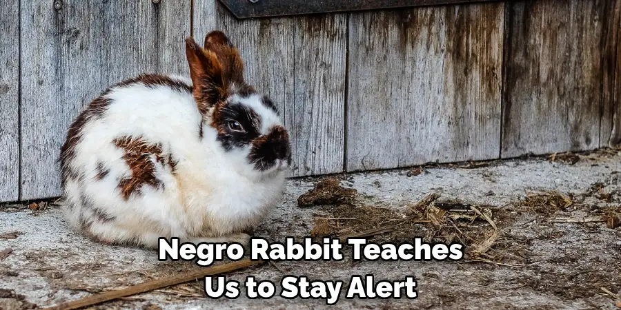 Negro Rabbit Teaches 
Us to Stay Alert