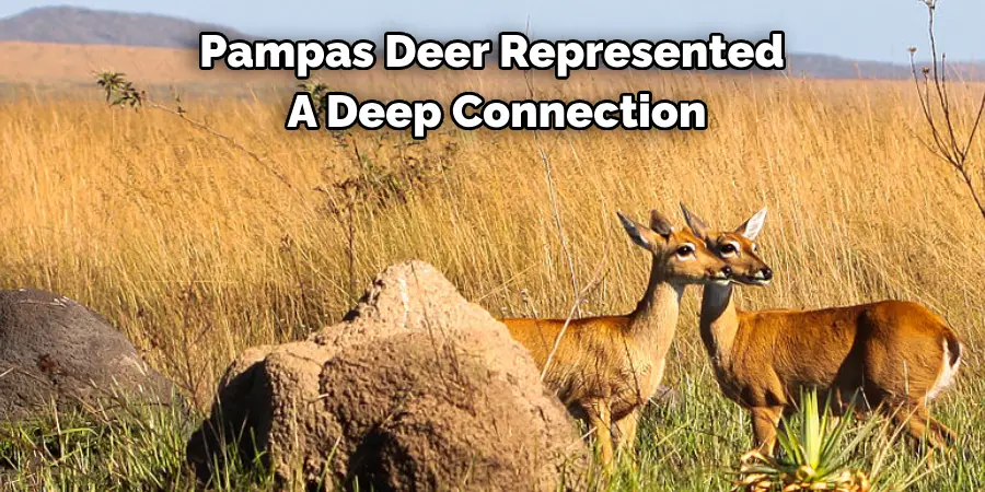 Pampas Deer Represented 
A Deep Connection
