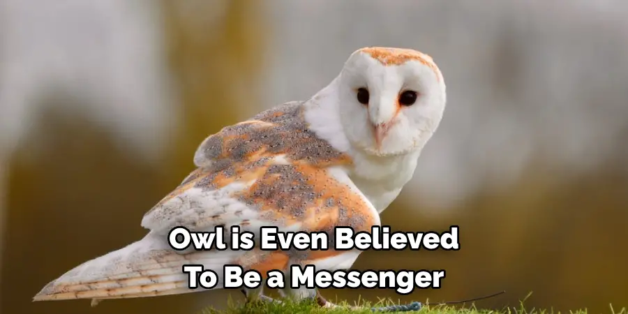Owl is Even Believed 
To Be a Messenger 