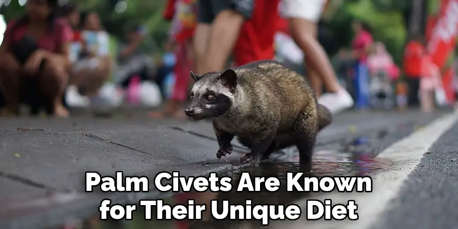 Palm Civets Are Known for Their Unique Diet