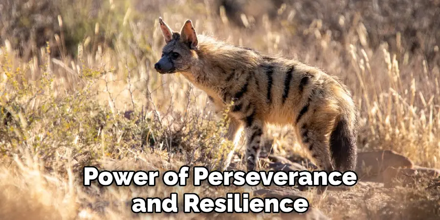 Power of Perseverance and Resilience