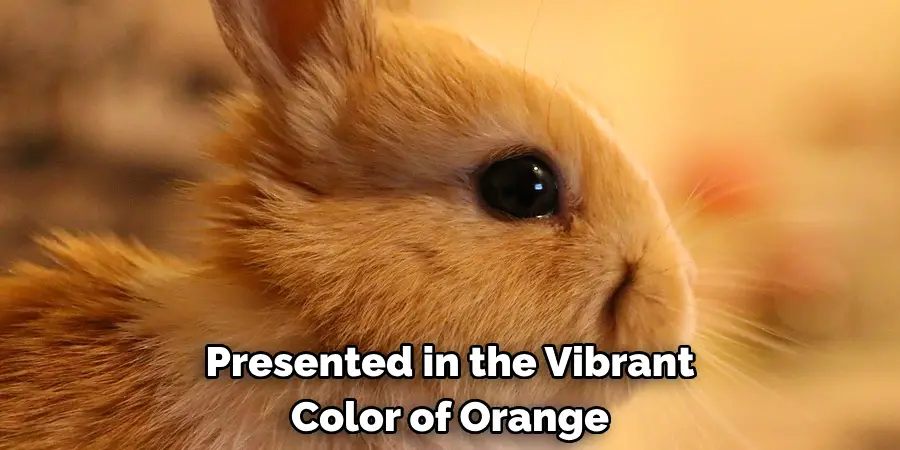 Presented in the Vibrant Color of Orange