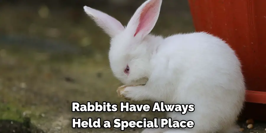 Rabbits Have Always 
Held a Special Place