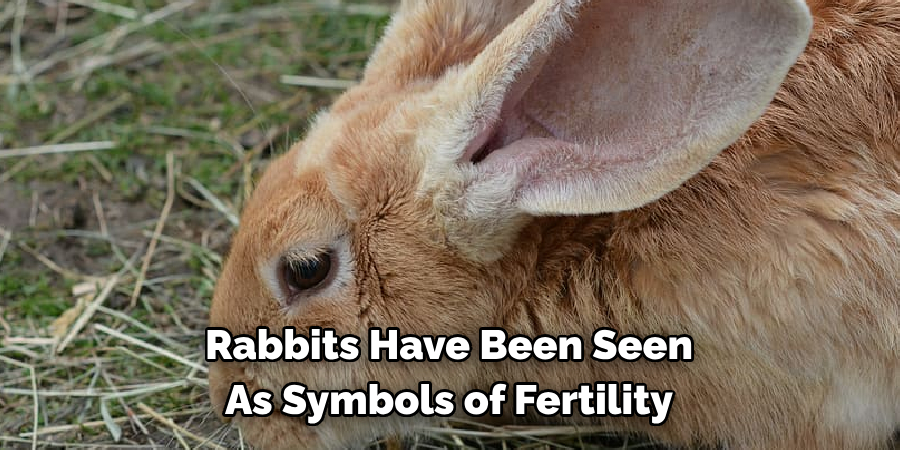 Rabbits Have Been Seen 
As Symbols of Fertility