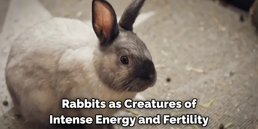 Rabbits as Creatures of
Intense Energy and Fertility