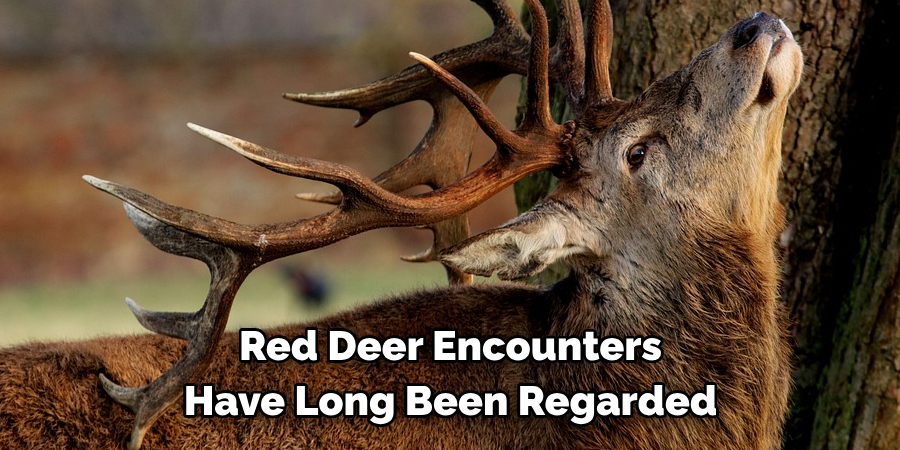 Red Deer Encounters 
Have Long Been Regarded