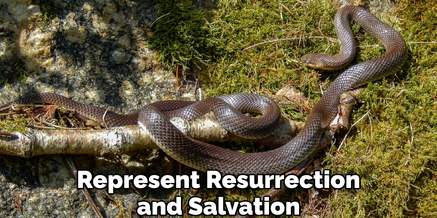 Represent Resurrection and Salvation