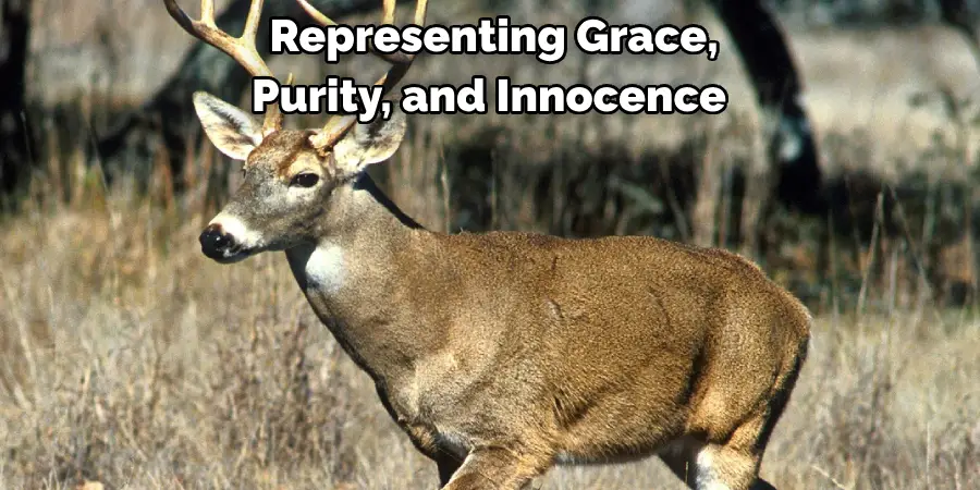  Representing Grace, 
Purity, and Innocence.