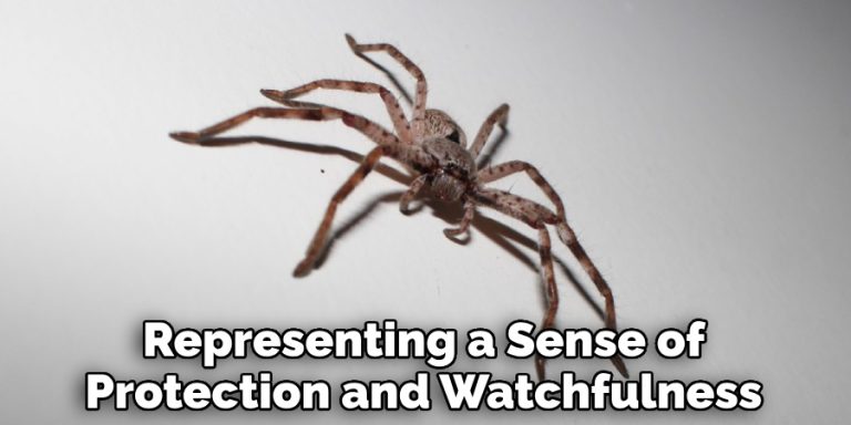 Huntsman Spider Spiritual Meaning Symbolism And Totem 2023 
