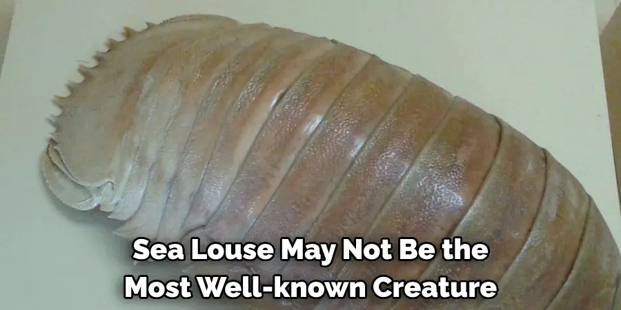 Sea Louse May Not Be the 
Most Well-known Creature